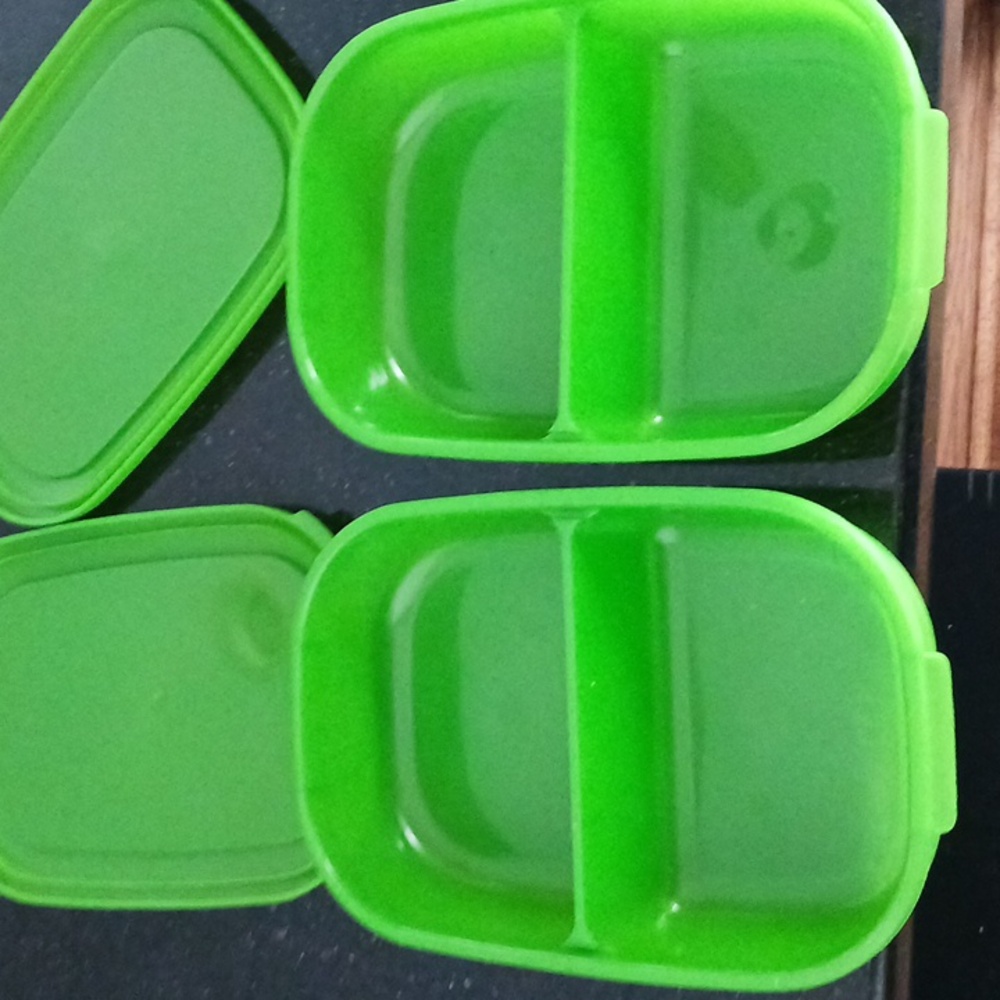 Debbie Meyer Food Storage Containers - Picture 9 of 9